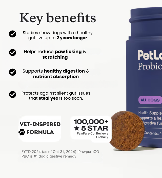 Probiotic Chew +