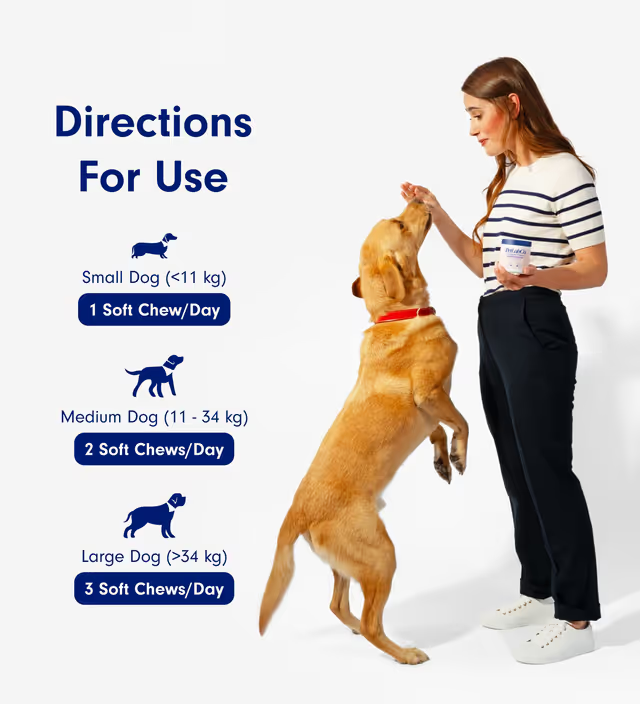 Probiotic Chew +