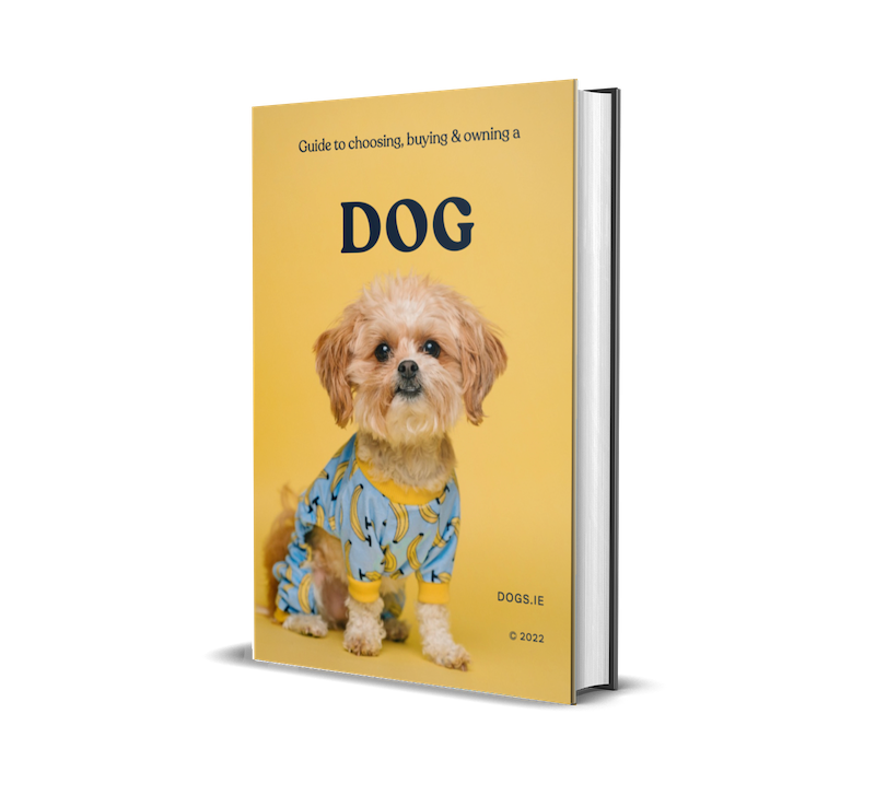 Vet’s Symptom Tracker PDF