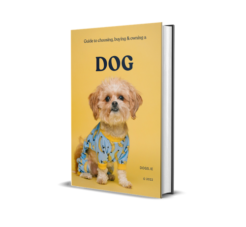 Vet’s Symptom Tracker PDF