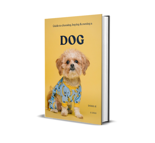 Vet’s Symptom Tracker PDF